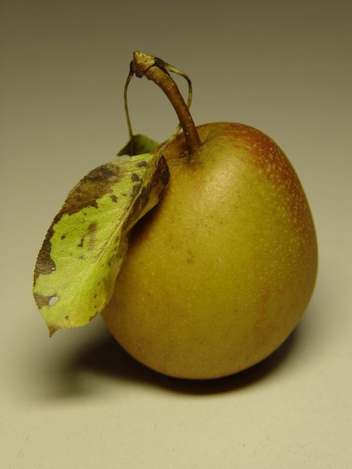 pear one of the a single