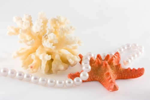 pearl starfish coral