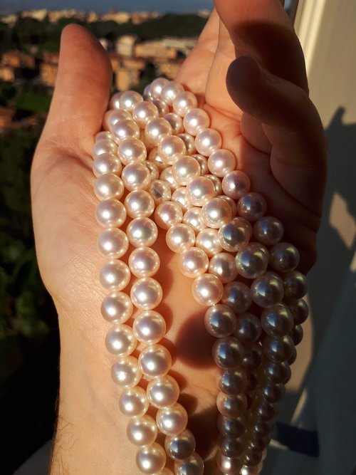 pearl  pearls  jewelry