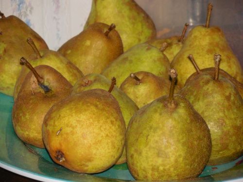 pears fruit food