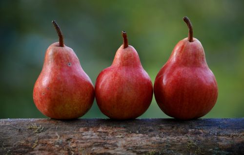 pears red branch