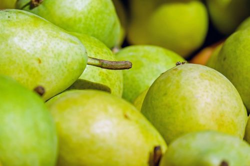 pears fruit fruits