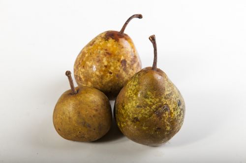 pears brown nature