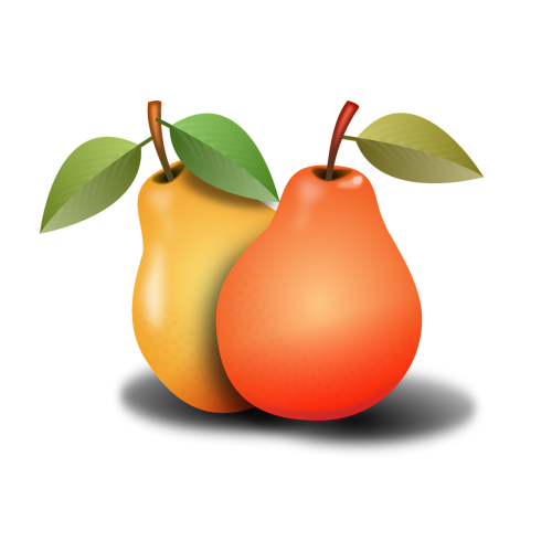 pears fruit pear