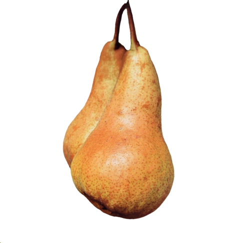 pears fruit fruits