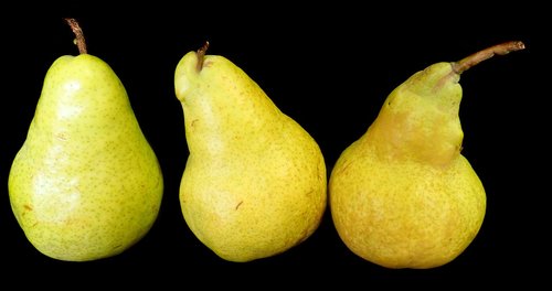 pears  ripe  fruit