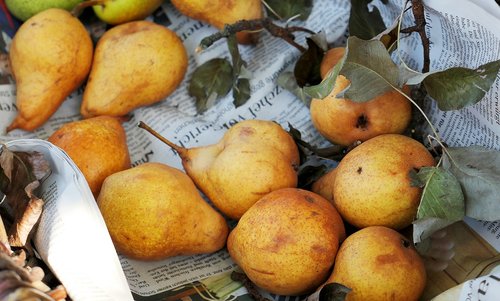 pears  fruit  vitamins