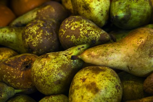 pears  fruit  food