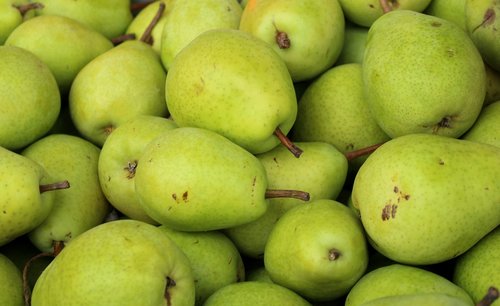 pears  pear  fruit