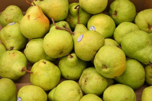 pears fruit green