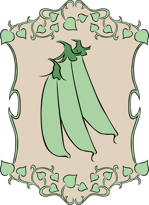 peas garden vegetable