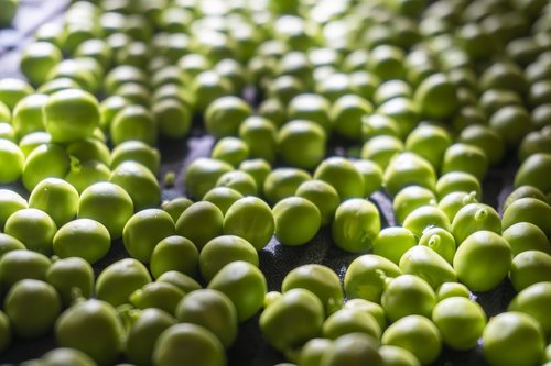 peas  green  nutrition