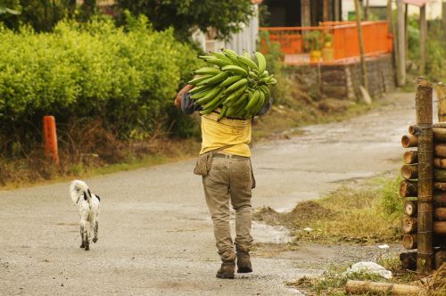 peasants finlandia quindio