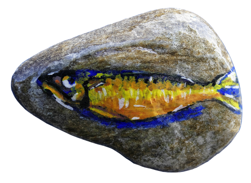 pebble painting fish