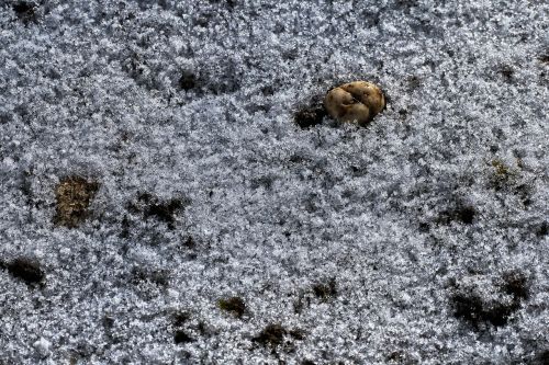 pebble snow thaw