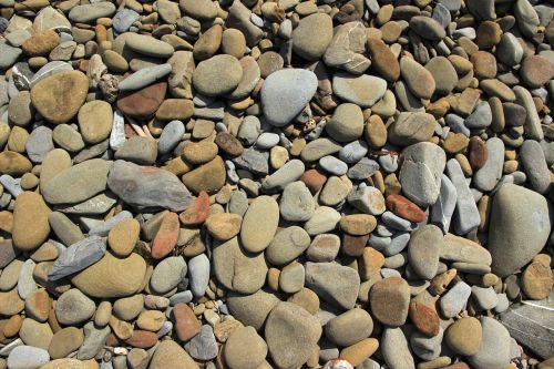 pebble pebbles rock