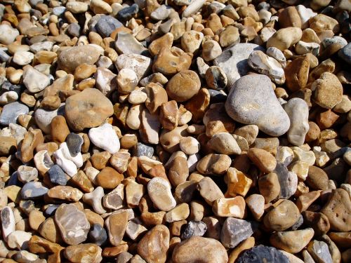 pebbles beach nature