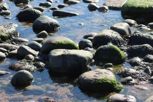 pebbles stones water