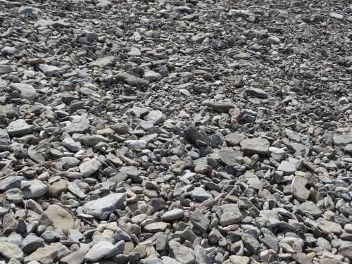 pebbles gower swansea
