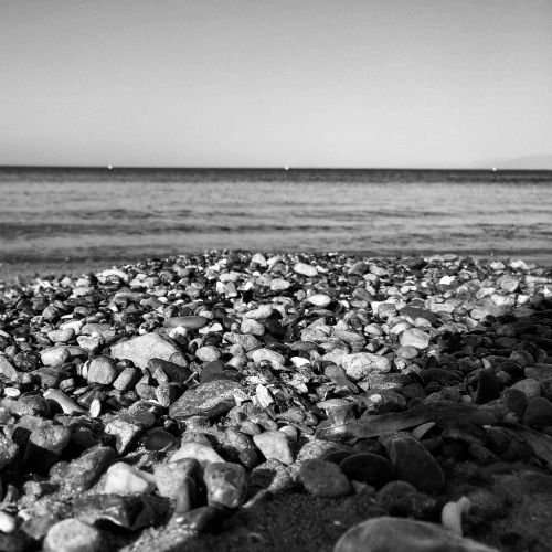 pebbles beach water