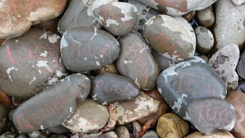 pebbles nature stones