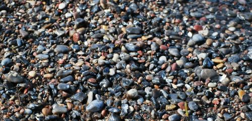 pebbles pebble stones