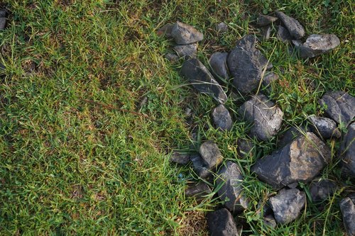 pebbles  stones  soil