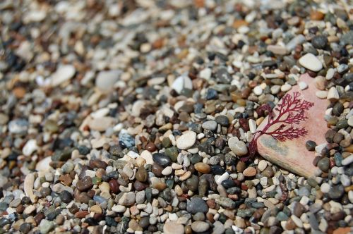 pebbles rocks beach