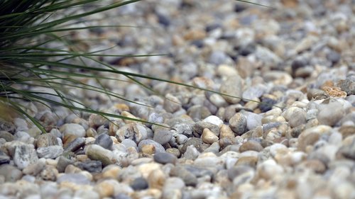 pebbles  grass  nature