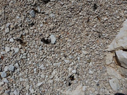 pebbles shore rocks