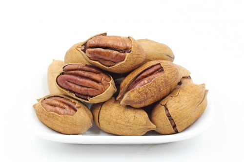 pecans nut walnuts