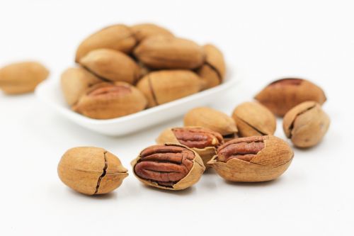 pecans nut walnuts