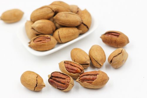 pecans nut walnuts