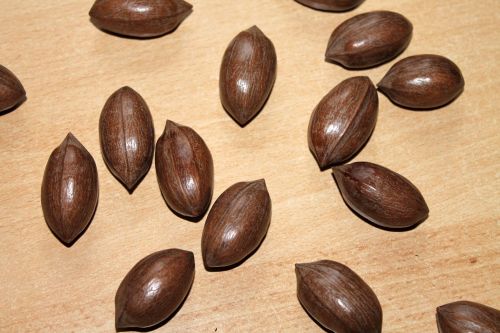 pecans nut brown