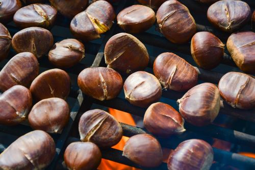 pečenené chestnuts chestnuts grill