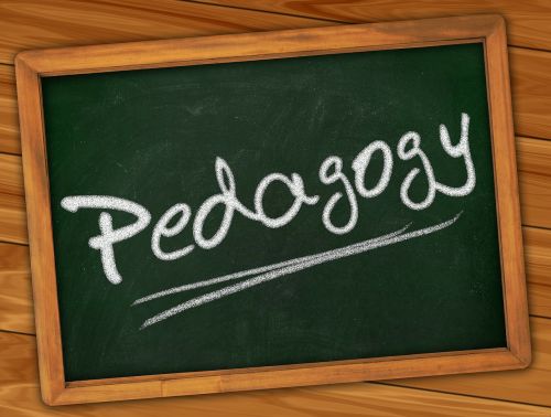 pedagogy education school