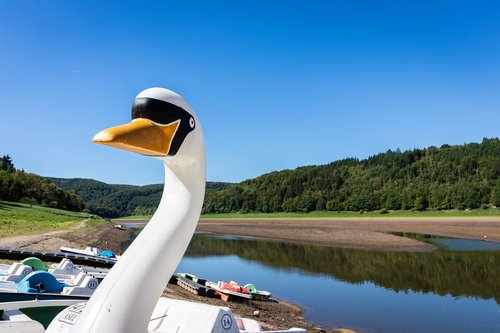 pedal boat  boat  lake