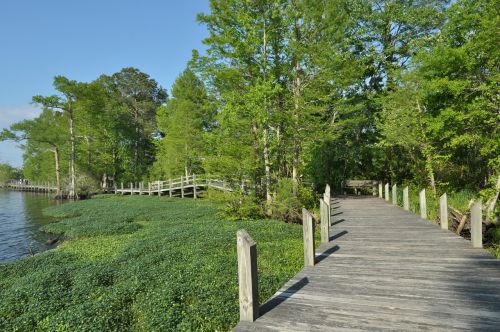 pedestrian bridge wood path