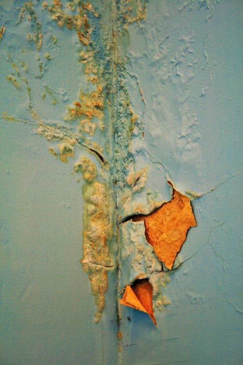 Peeling Paint