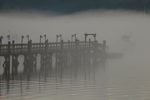 peer dock mist