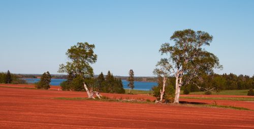 PEI Scenery