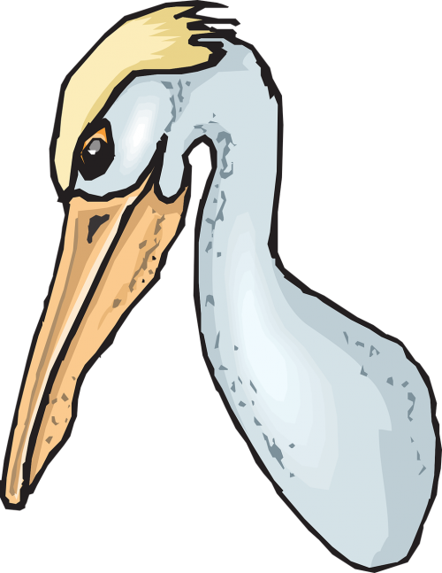 pelican seabird pouch
