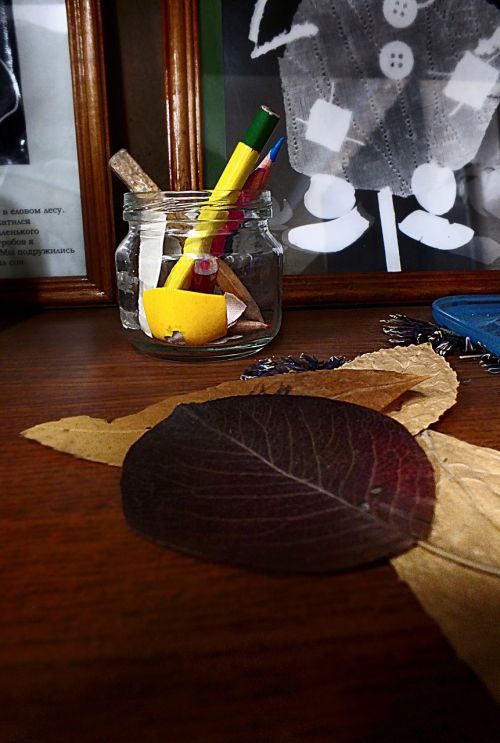 pencils dried leaves still life