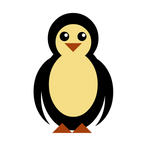 penguin bird antarctic
