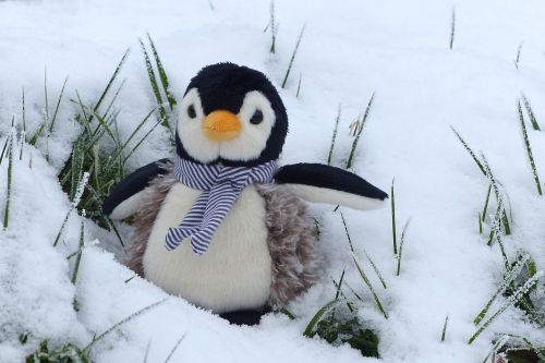 penguin stuffed animal winter