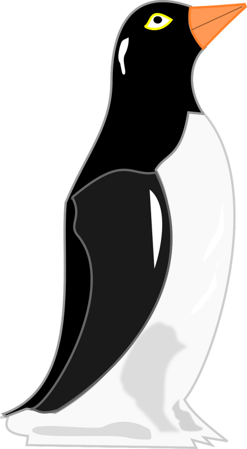 penguin pinguim de geladeira vintage