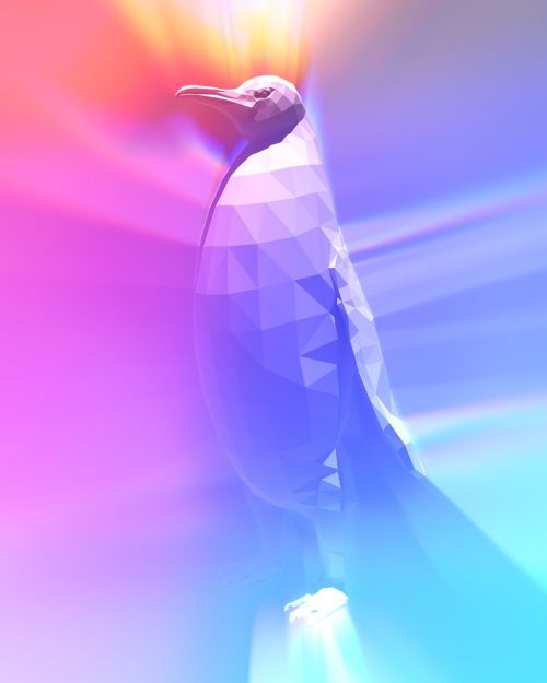 penguin polar cold