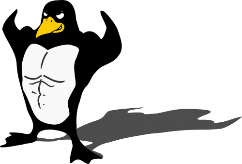 penguin bodybuilder linux