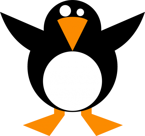 penguin black cold