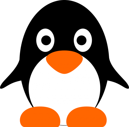 penguin animal cute